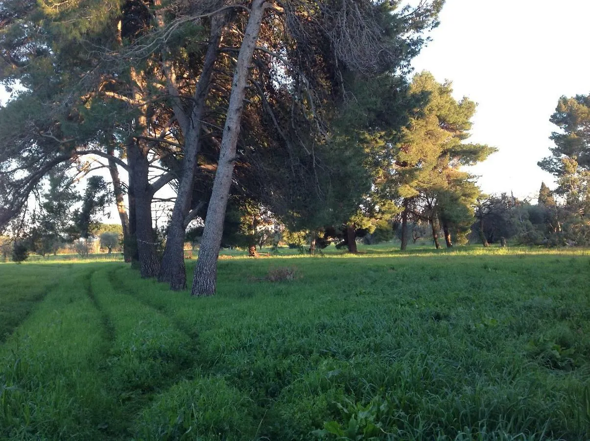 Landhaus Villa Di Campagna Santa Giulia Strand Strand Carbonifera